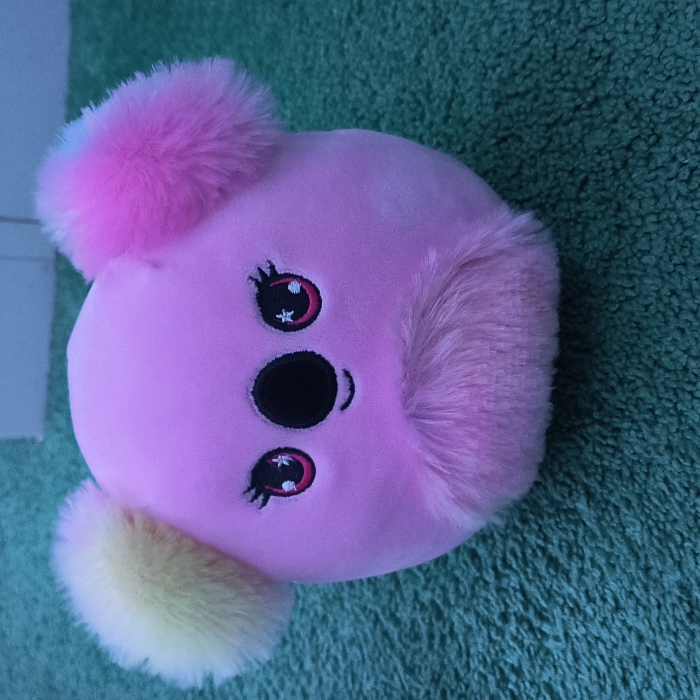 koala squishmallow